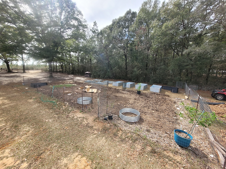 The bare bones of this year's garden