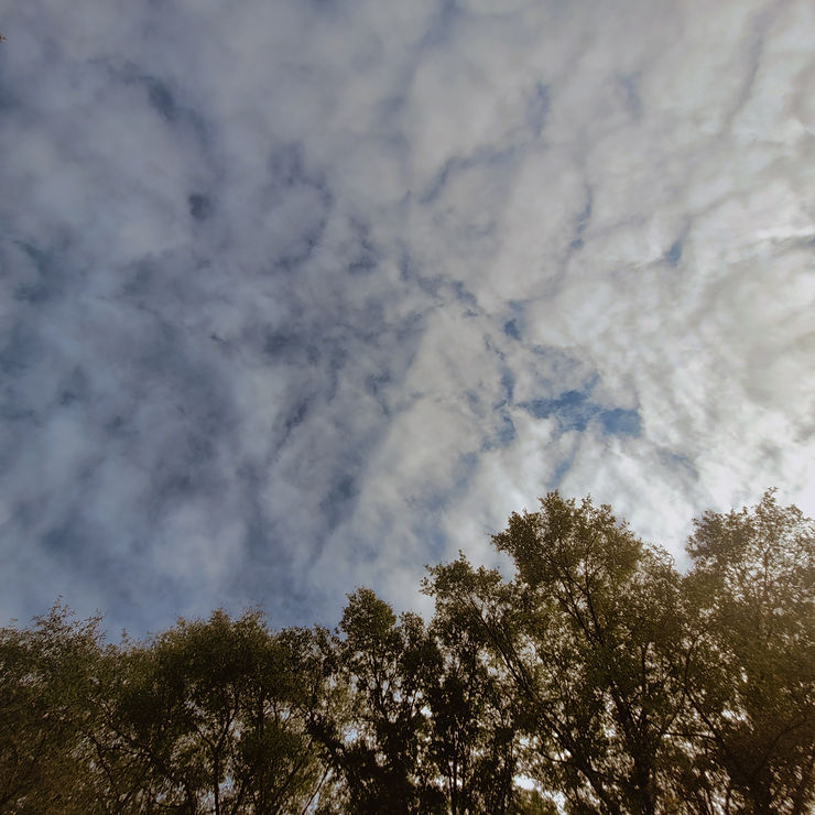 Road Less Talked&nbsp;About